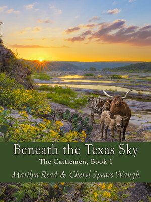 cover image of Beneath the Texas Sky